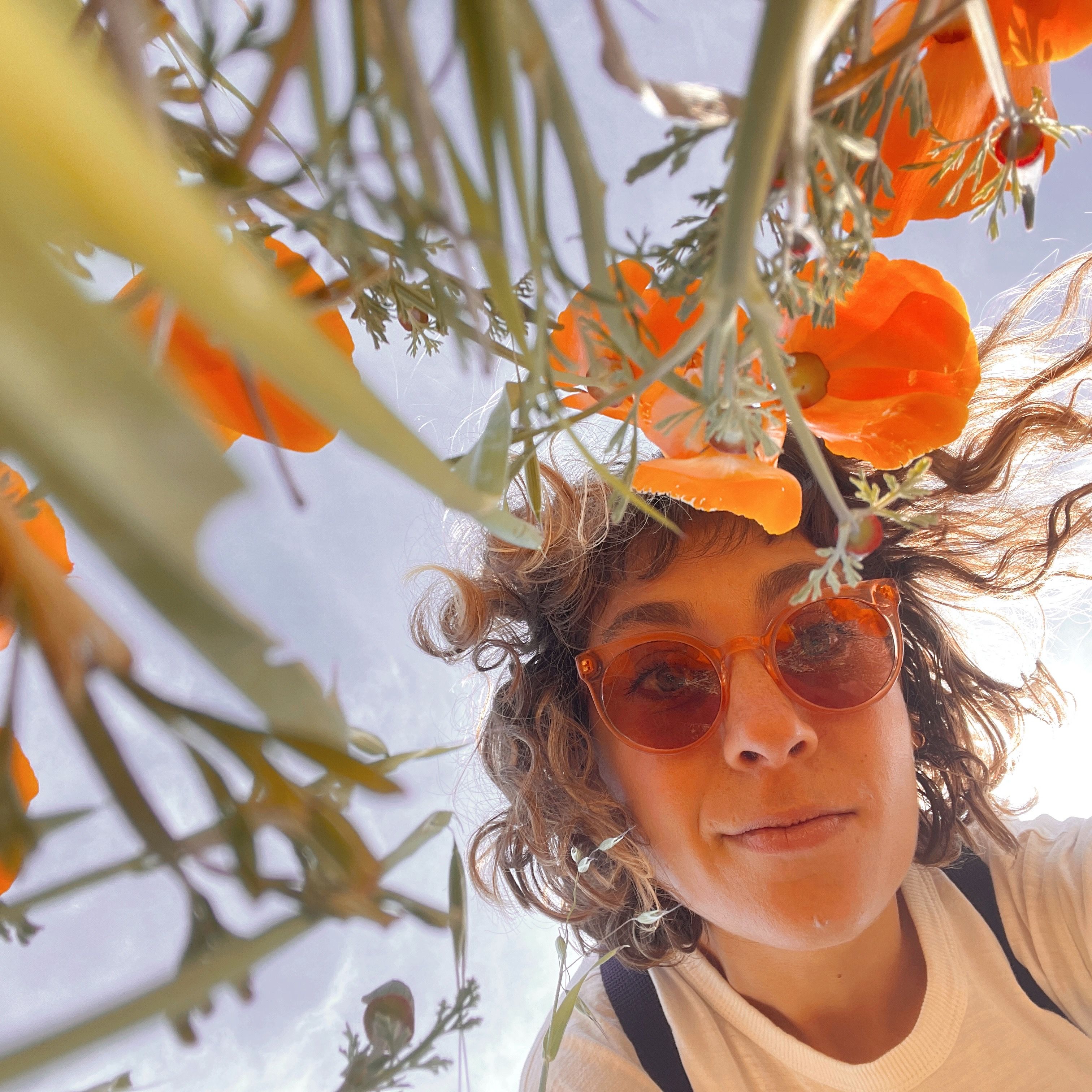 A sunlit drawing desk with pencils and paper.